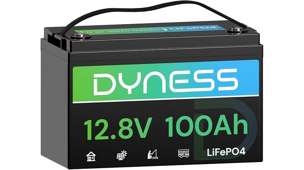 12 volt 100ah battery