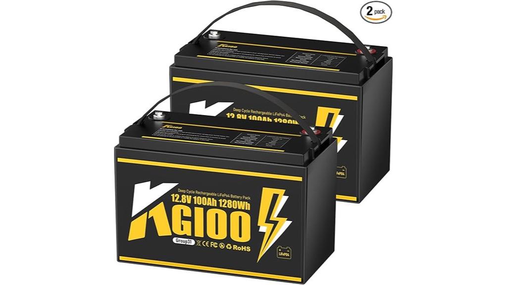 12v 100ah lifepo4 batteries