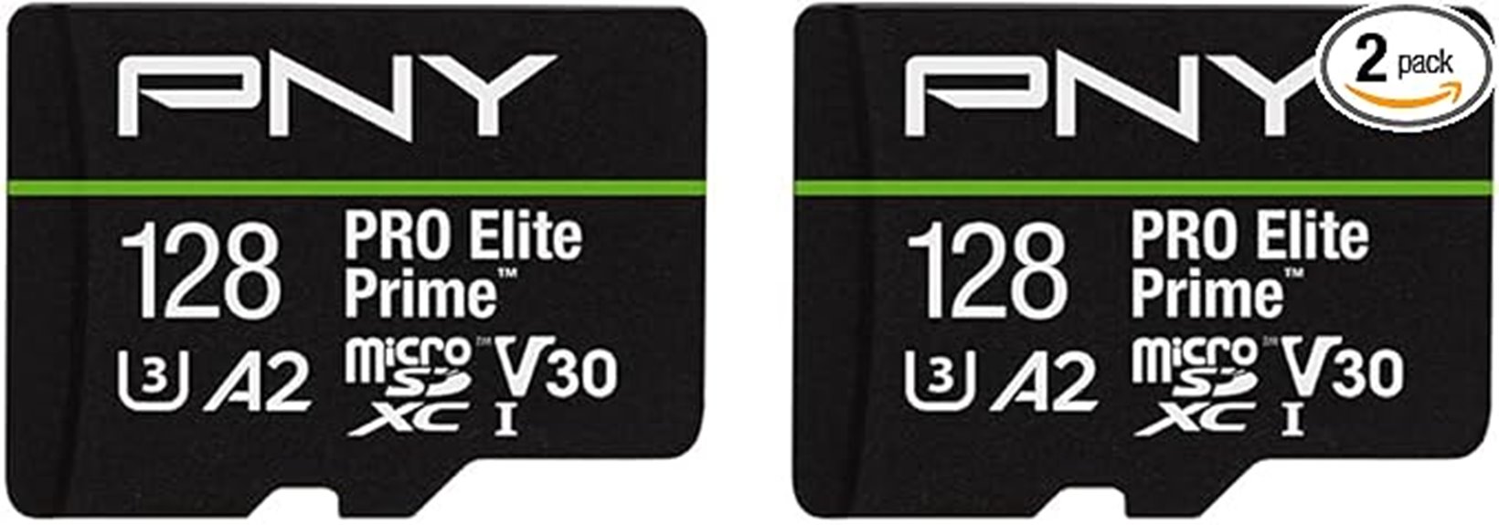 dual 128gb microsd cards