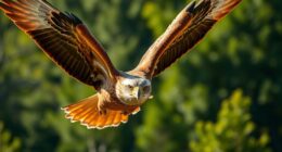top wildlife telephoto lenses