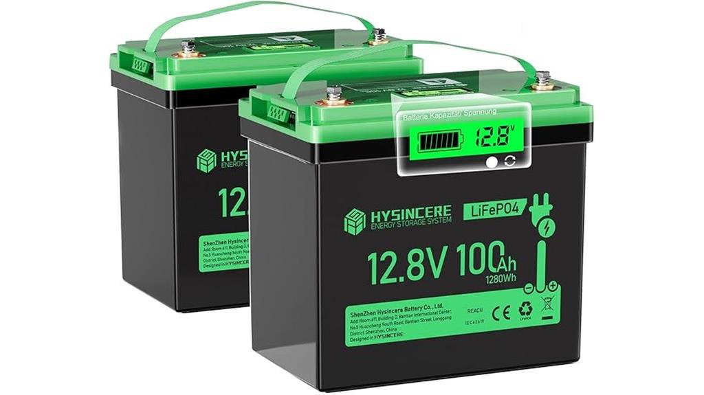 two 12v 100ah batteries