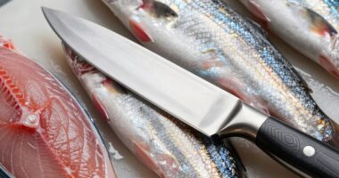 top fish fillet knife picks