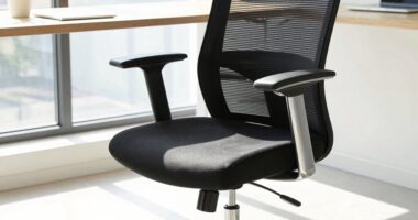 post divorce ergonomic chair