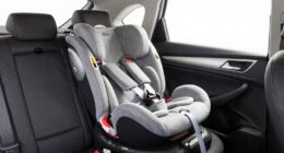 second household booster seat