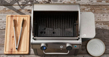 10 Best Grill for Weekend Parenting and Backyard Meals in 2026