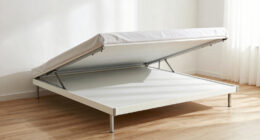 10 Best Murphy Bed for Studio Apartment After Divorce in 2026