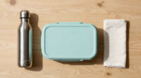 12 Best Lunch Box for Alternating Custody Schedules in 2026