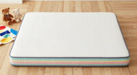 12 Best Twin Mattress Set For Children In Second Home In 2026