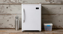 13 Best Garage Fridge for Custody Weekend Prep in 2026