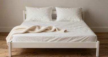 14 Best Trundle Bed for Shared Custody Sleepovers in 2026