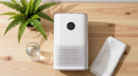 15 Best Dehumidifier for a Basement Apartment After Divorce in 2026