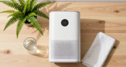 15 Best Dehumidifier for a Basement Apartment After Divorce in 2026