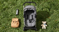 15 Best Stroller Wagon for Divorced Parents with Young Kids in 2026