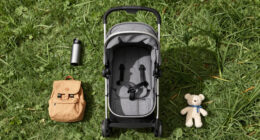 15 Best Stroller Wagon for Divorced Parents with Young Kids in 2026