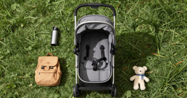 15 Best Stroller Wagon for Divorced Parents with Young Kids in 2026