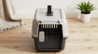6 Best Pet Crates for Apartment After Divorce in 2026