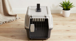 6 Best Pet Crates for Apartment After Divorce in 2026