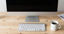 7 Best Monitors for Remote Work After Divorce in 2026