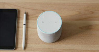 9 Best Smart Speaker for Managing Two-Household Schedules in 2026