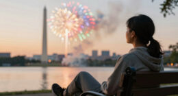 Dc Fireworks